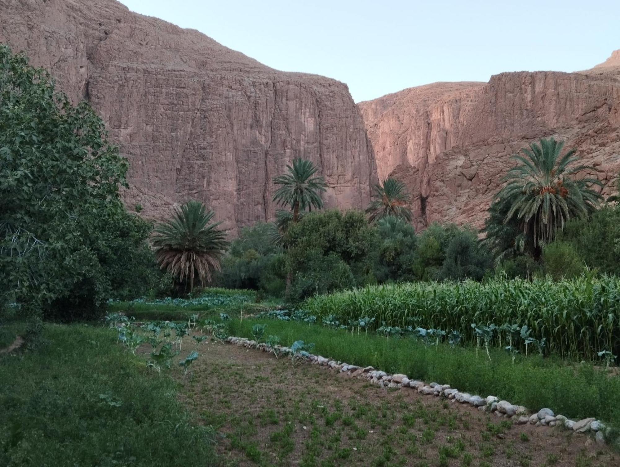 Riad La Fleur Aït Baha Eksteriør bilde