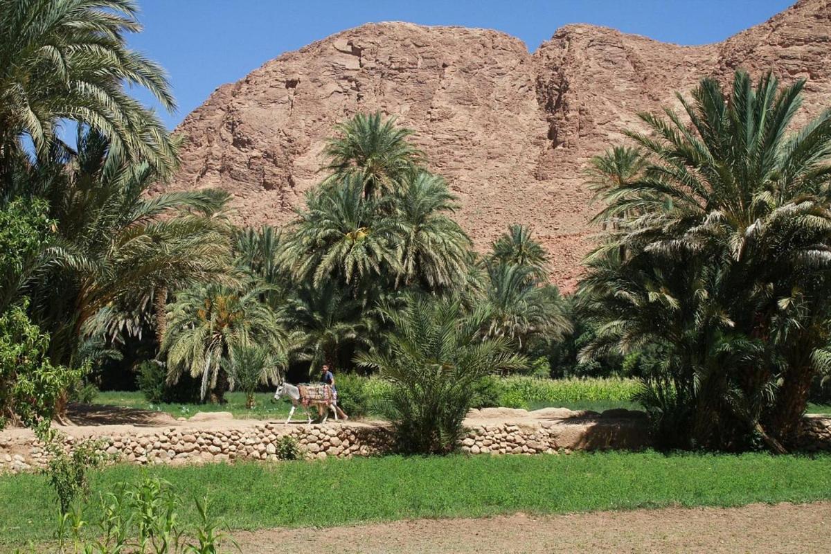 Riad La Fleur Aït Baha Eksteriør bilde