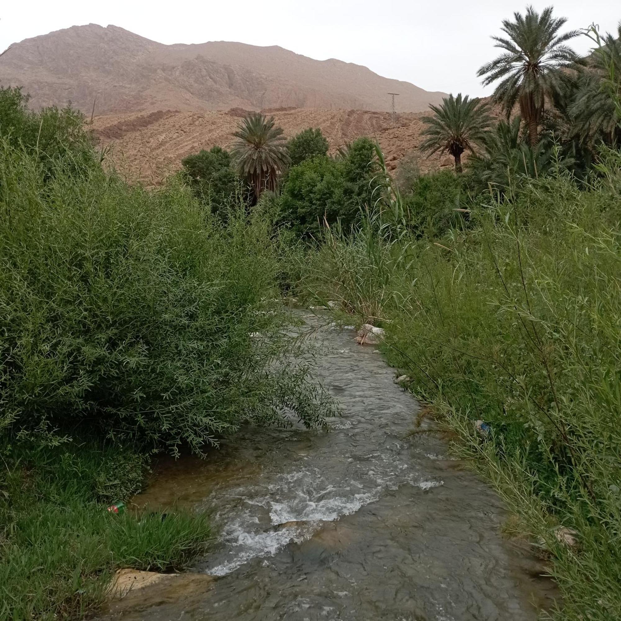 Riad La Fleur Aït Baha Rom bilde